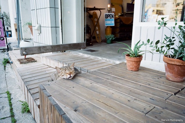 [Ricoh GR1] 卷25, 26